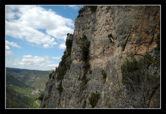 Les gorges de la Jonte